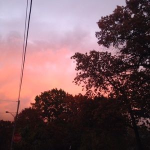 Meet your Posher, Moriah